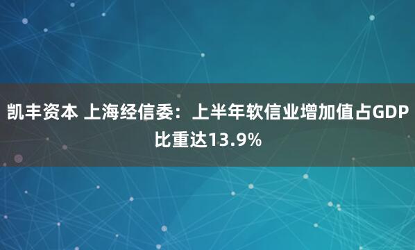 凯丰资本 上海经信委：上半年软信业增加值占GDP比重达13.9%