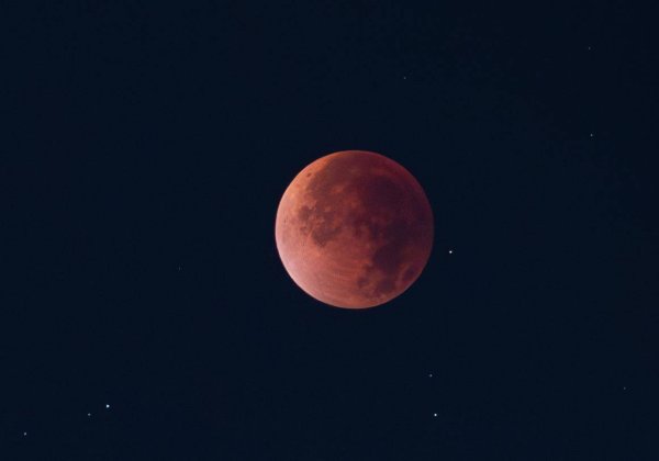 闻道资本 罕见天象！“红月亮”现身苍穹